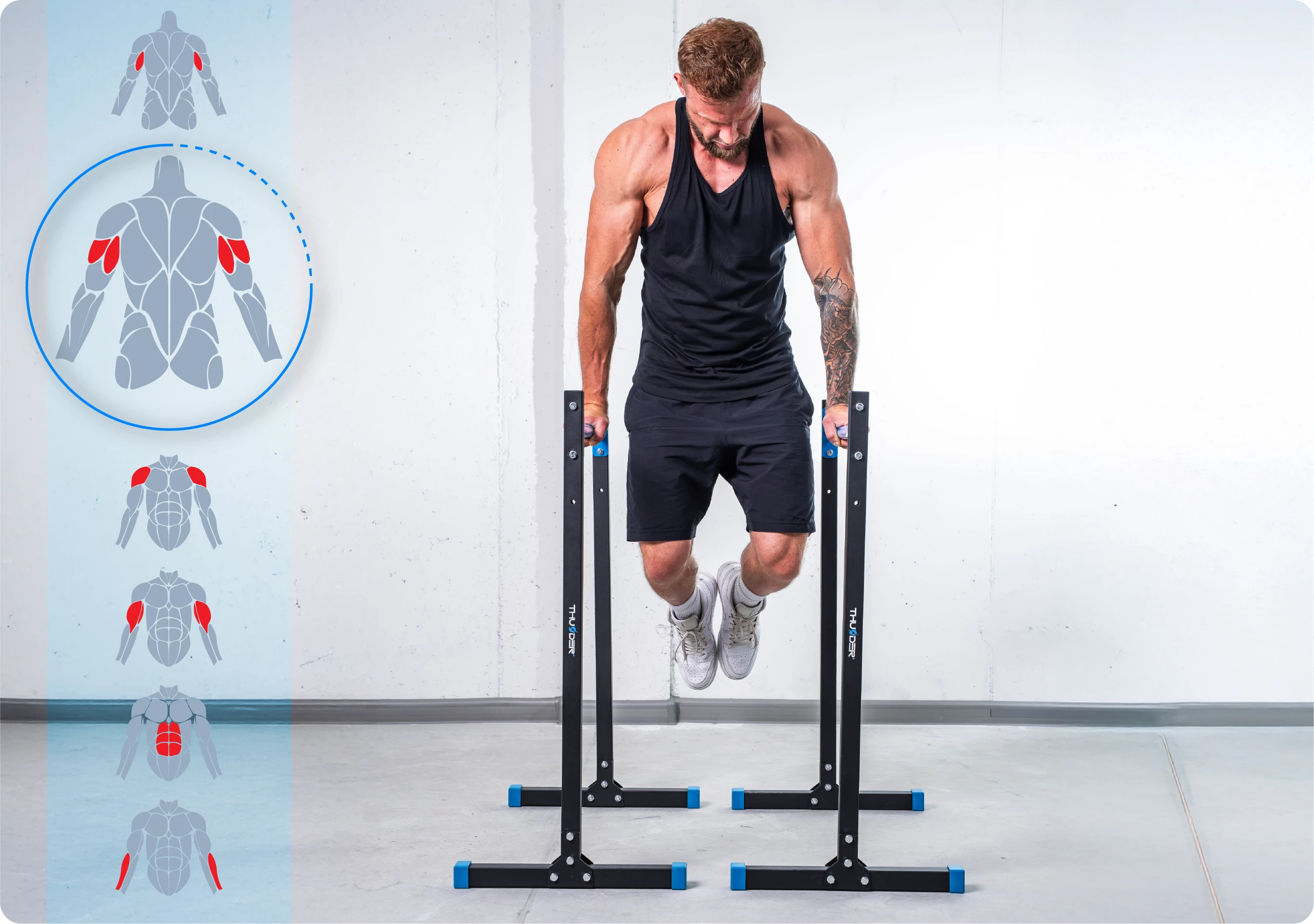 Kam skirtos rankenos DIPSY