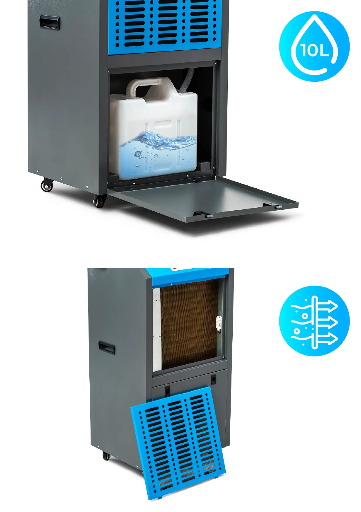 Najważniejsze cechy